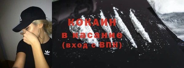 прущие грибы Аркадак