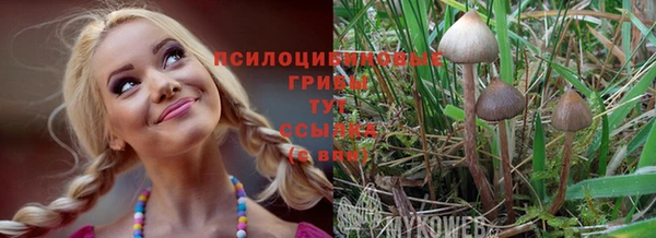 прущие крисы Алексин