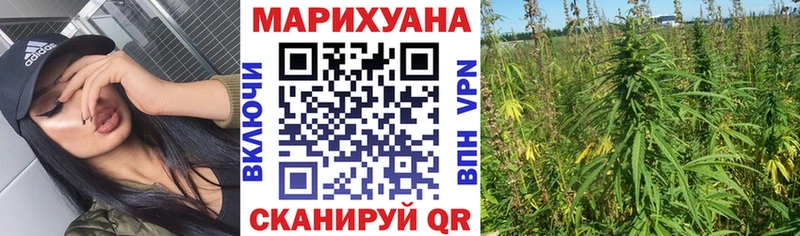 Бошки марихуана MAZAR  blacksprut маркетплейс  Сунжа  хочу  